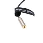 Alvin'S Cables Z-CAM E2 Audio Cable 00B 5 Pin Male To 3.5mm TRS Female Stereo For Z CAM E2 S6 F6 F8 M4 15cm 5.9inches